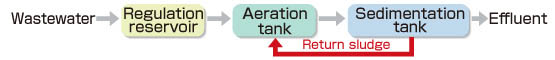 2 Treatment flow of Swim-bed process material